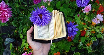 Learn Quran Recitation Online